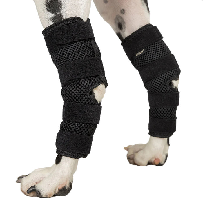 Back On Track Dog Hock Wraps