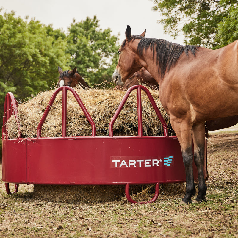 Tarter Equine Pro Hay Feeder with Hay Saver
