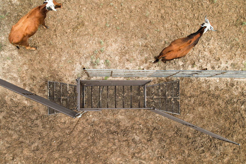 Tarter Elevated Stripping Chute with Swing Gate