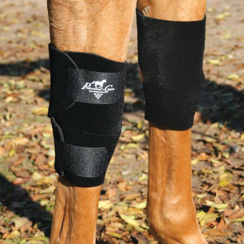 Knee Boot