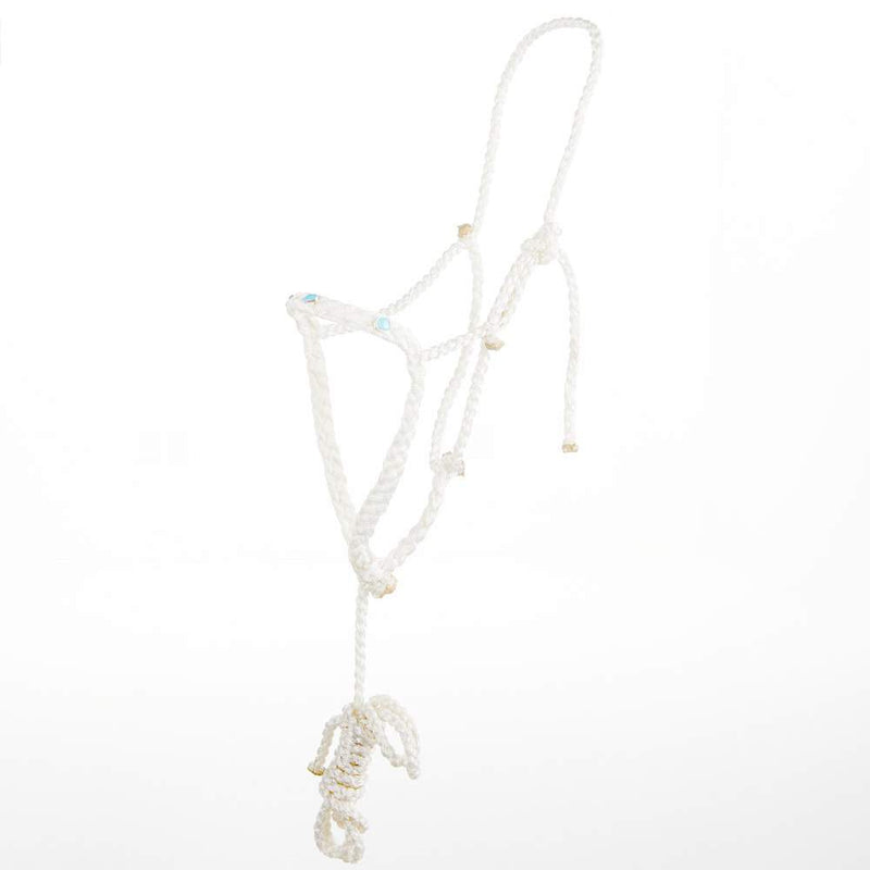 Jarett Freeman/ Mule Tape Halter with Genuine Turquoise Stones