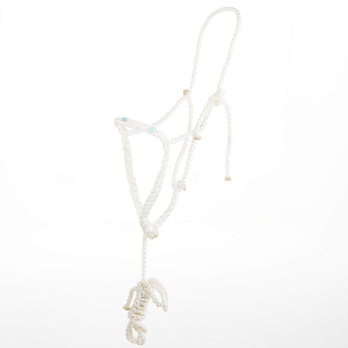 Jarett Freeman/ Mule Tape Halter with Genuine Turquoise Stones