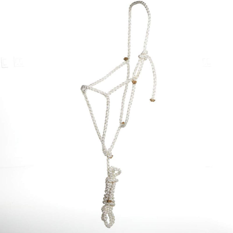 Jarett Freeman Full Mule Tape Halter