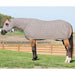 Medium Equiskinz Lycra Horse Sheet