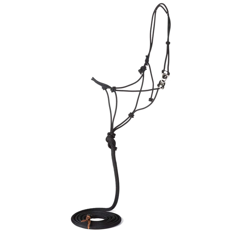 Black Premium Quick Change Halter with 9ft Lead