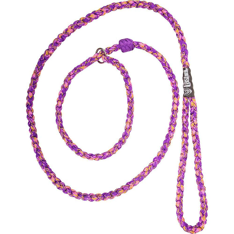 Braided Dog Leash
