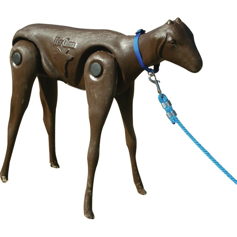 Tuf Goat