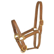 1in Average Horse Harness Leather Turn Out Halter