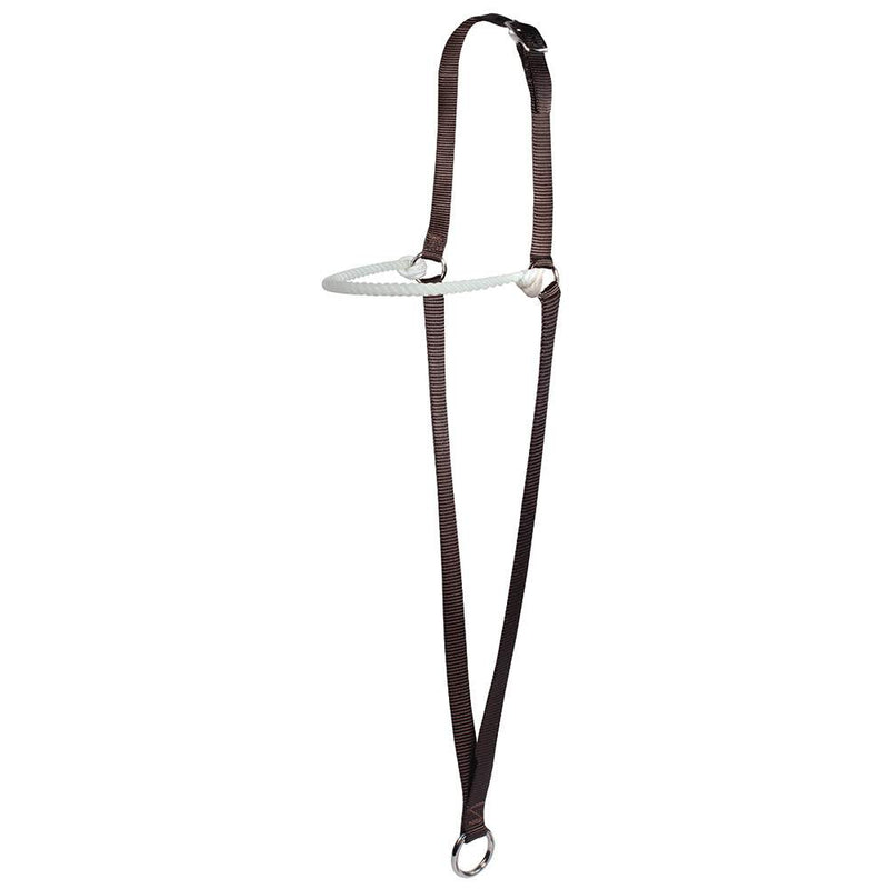 Web War Bonnet with Lariat Rope