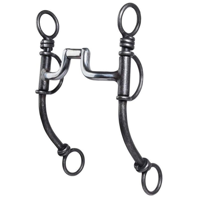 Professionals Choice Professional's Bob Avila Phoenix Shank Swivel Port Bit