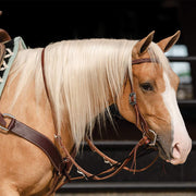 Single Rein German Martingale