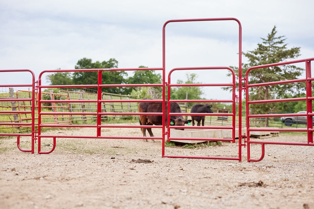 Tarter 8ft American Panel with 4ft Walk-Thru
