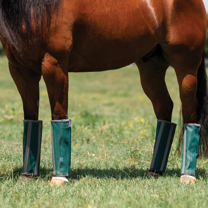Professional's 4 Pack Deluxe Fly Boots