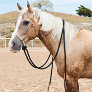 Loping Hackamore with 8ft Reins