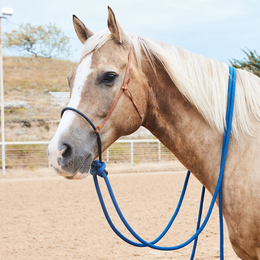 Cmr Hackamores Loping Hackamore With 8 Foot Reins