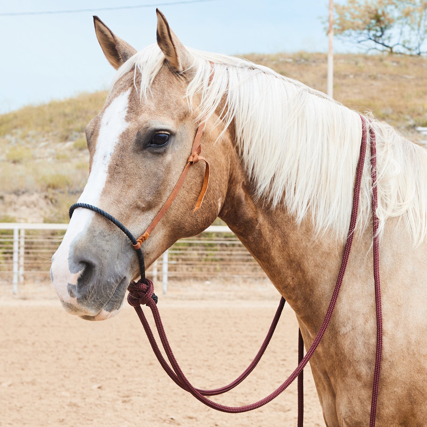 Cmr Hackamores Loping Hackamore With 8 Foot Reins