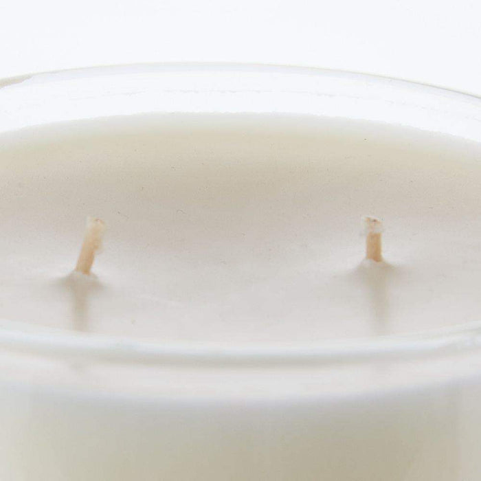 Tyler Candle Co Regal 16 oz. Clear Stature