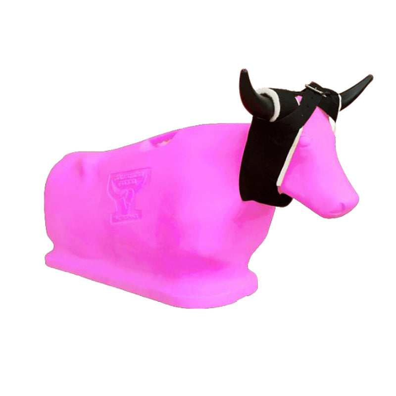 Something Steer Roping Dummy
