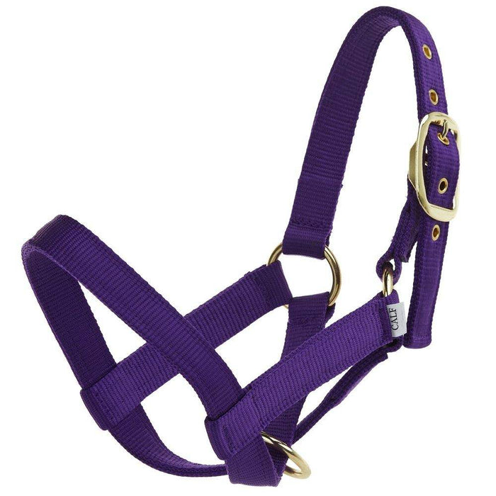 Nylon Turnout Calf Halter