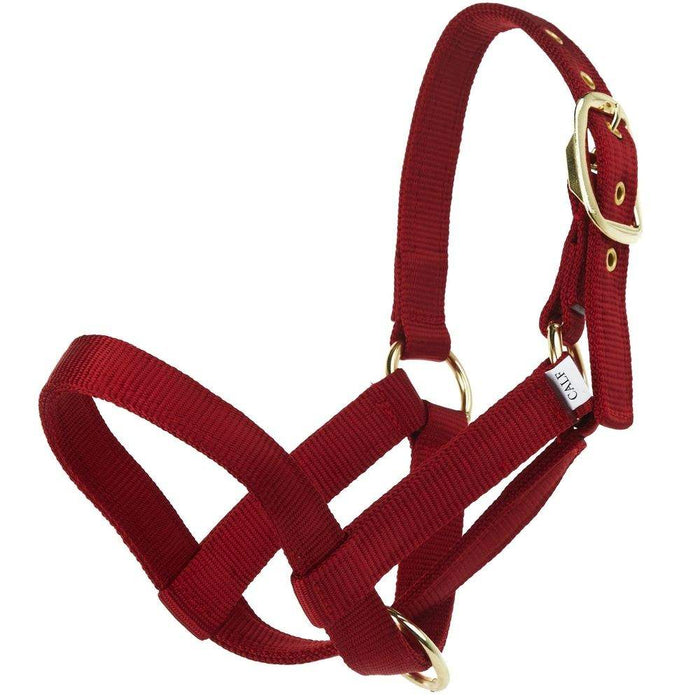 Nylon Turnout Calf Halter