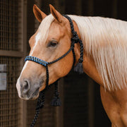 Professional's Cowboy Braided Halter