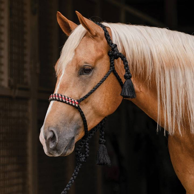 Professional's Cowboy Braided Halter