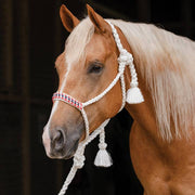 Professional's Cowboy Braided Halter