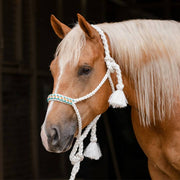 Professional's Cowboy Braided Halter