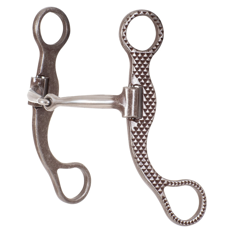 Rasp Performance Series Straight Shank Bit with Smooth Bar