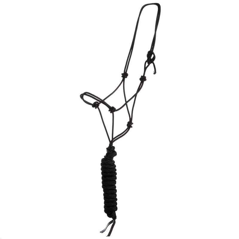 Econo Halter and 9-Foot Leadrope