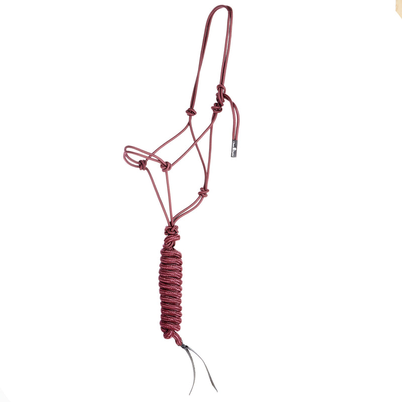 Econo Halter and 9-Foot Leadrope