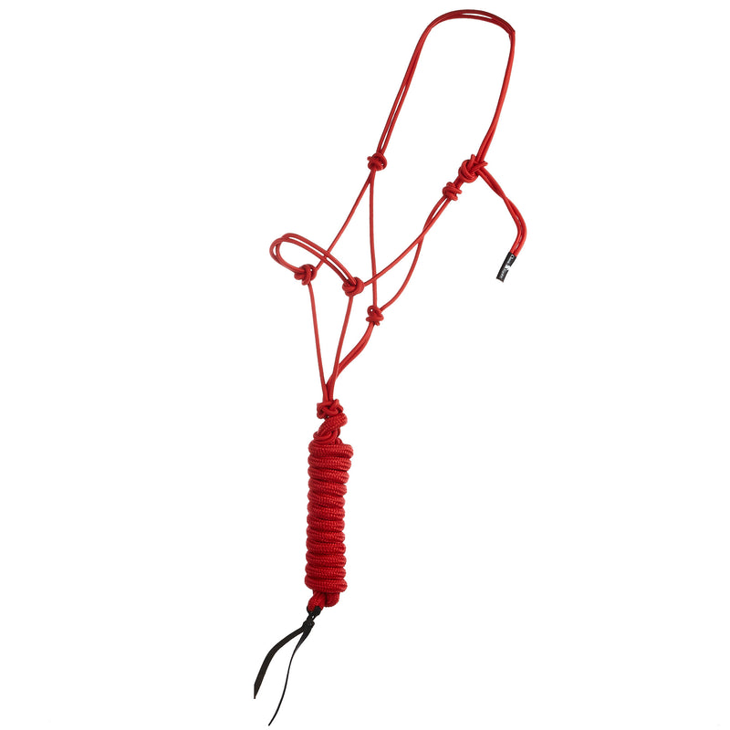 Econo Halter and 9-Foot Leadrope