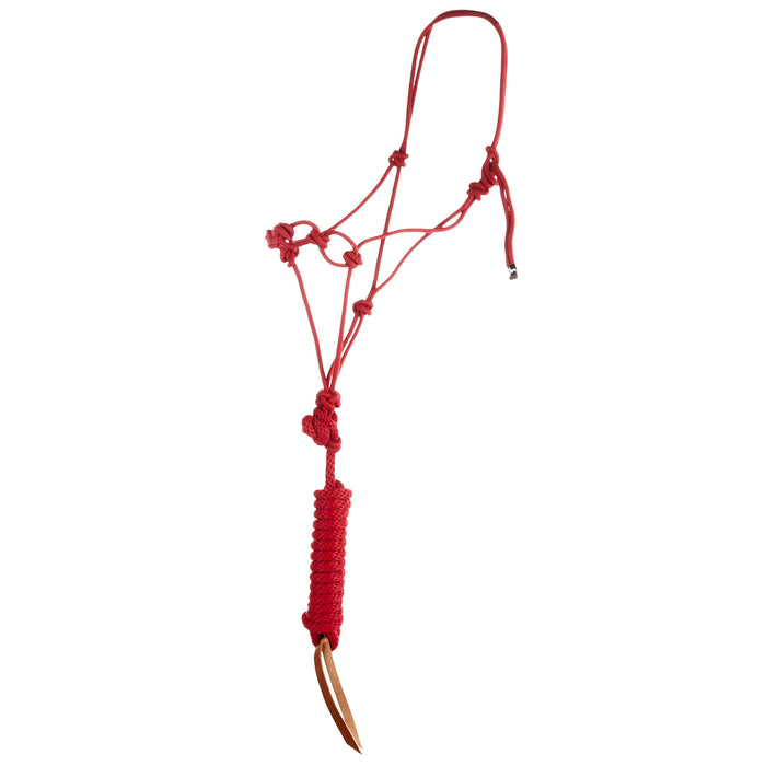 Infinity Knot Horse Rope Halter with 12 Foot Lead Rope