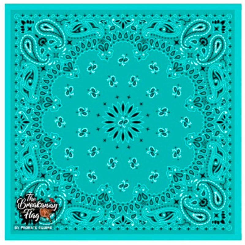 Patterned Open Professional Breakaway Flag