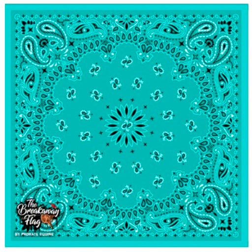 Patterned Open Professional Breakaway Flag