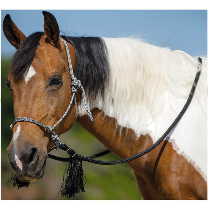 Co. Deluxe Bitless Bridle