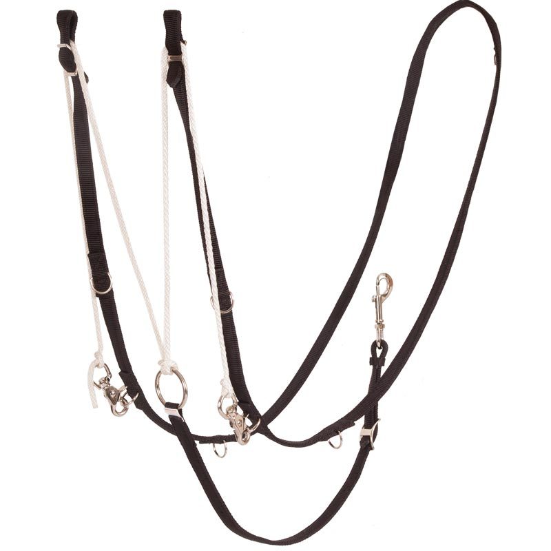 German Martingale