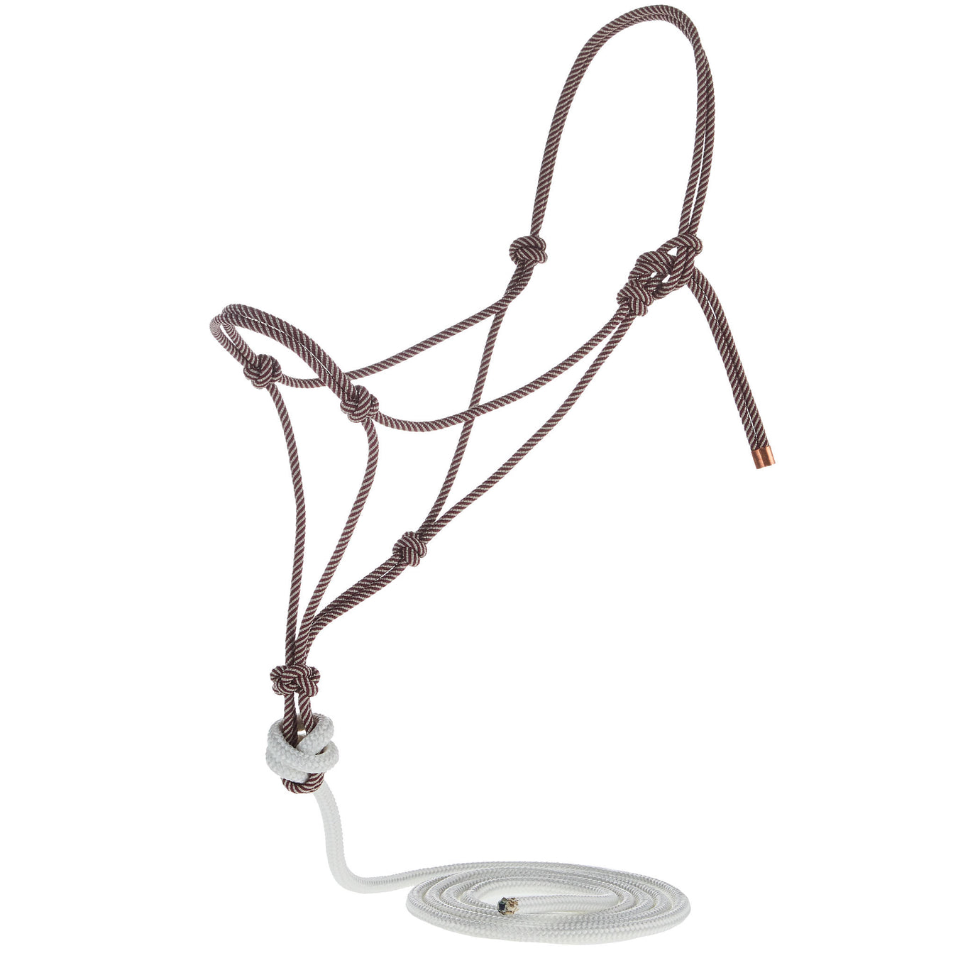 Steele Halters