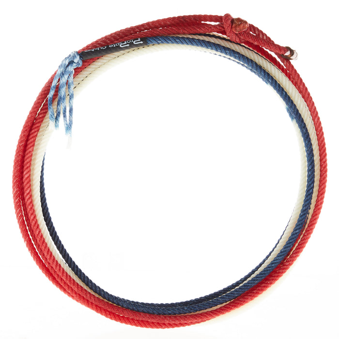 20ft Chicken Rope