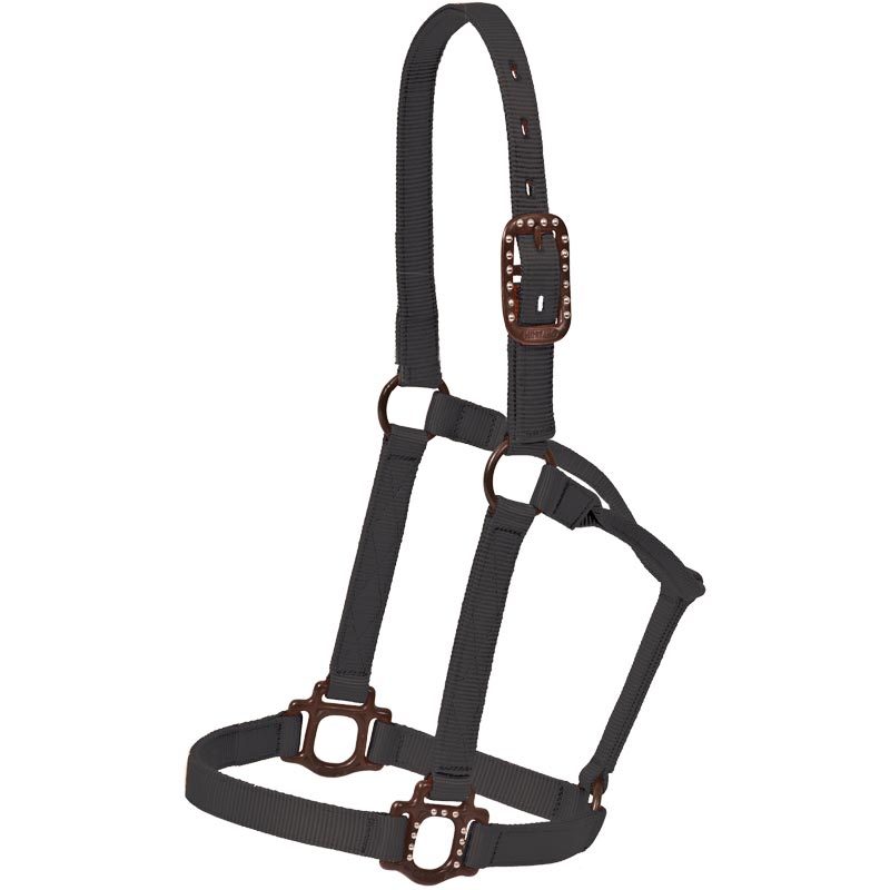 Antique Dot Halter