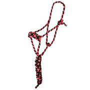 Two Color Halter with 8ft Attached Lead