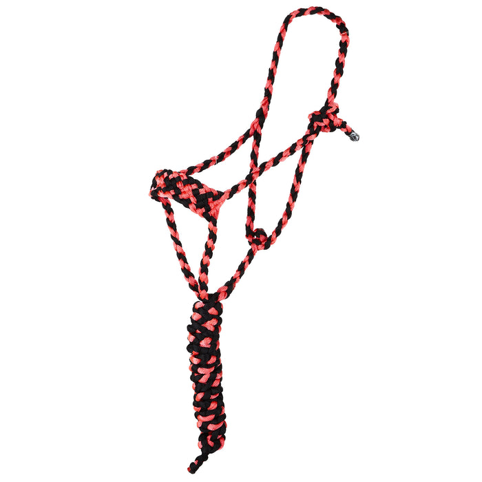 Two Color Halter with 8ft Attached Lead