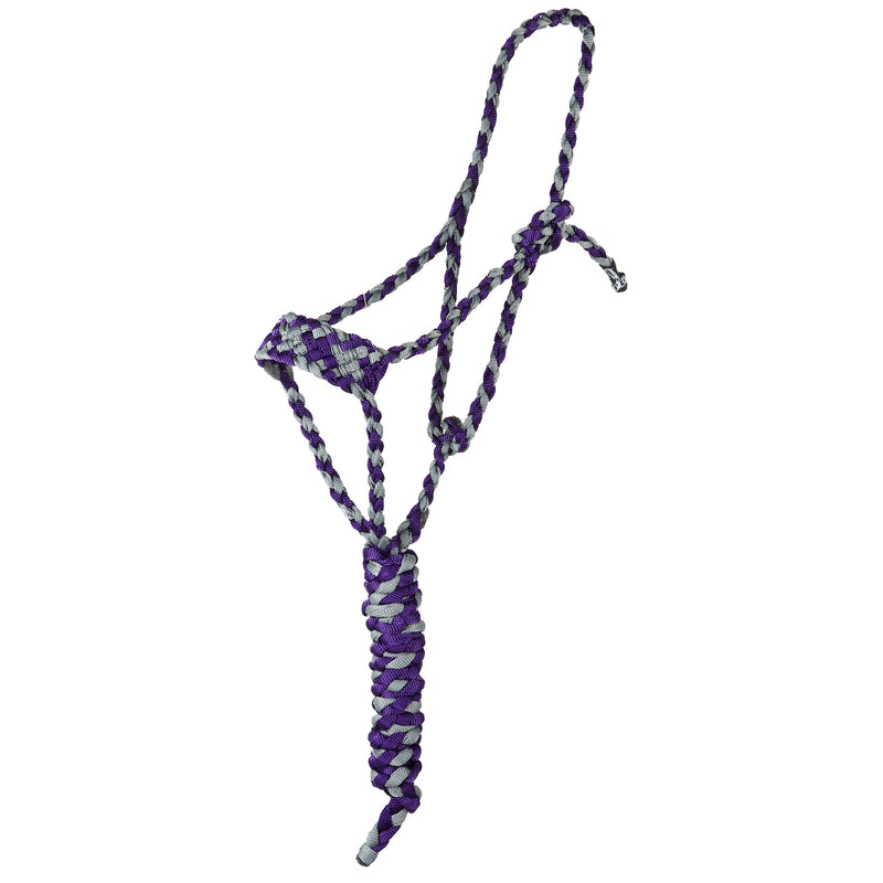 Two Color Halter with 8ft Attached Lead