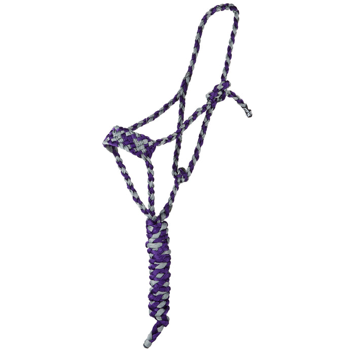 Two Color Halter with 8ft Attached Lead