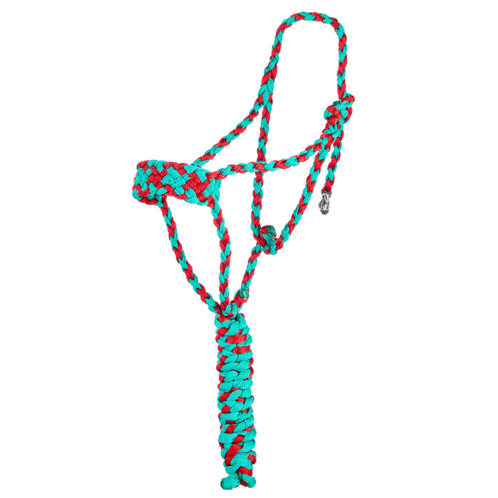 Two Color Halter with 8ft Attached Lead