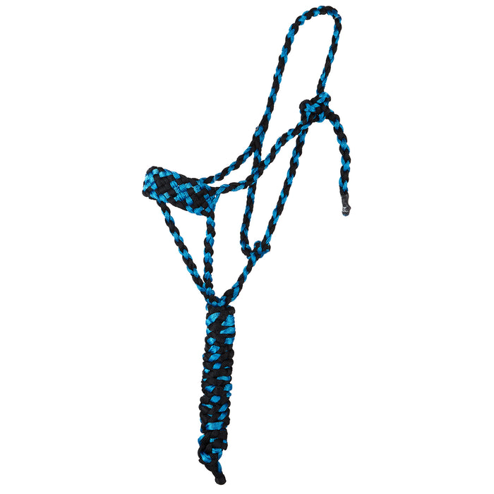 Two Color Halter with 8ft Attached Lead