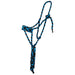 Two Color Halter with 8ft Attached Lead