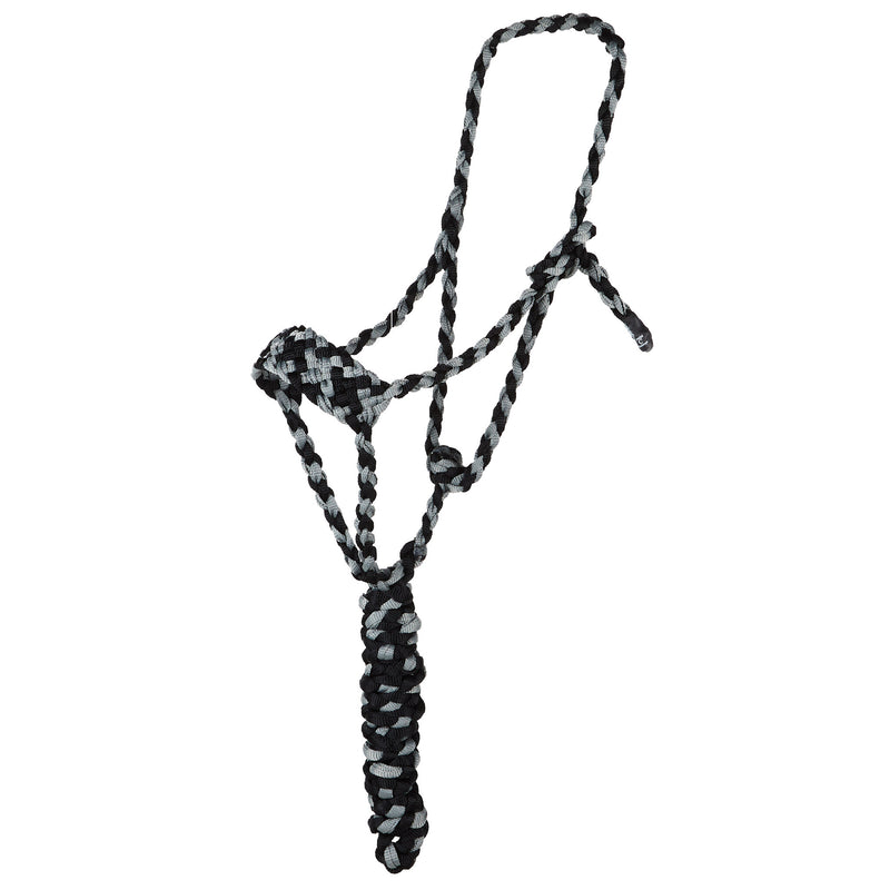 Two Color Halter with 8ft Attached Lead
