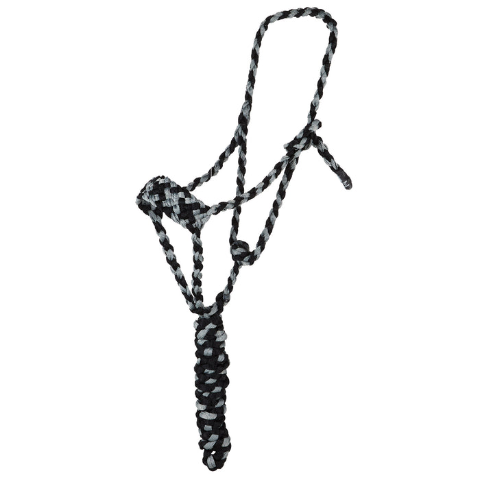 Two Color Halter with 8ft Attached Lead