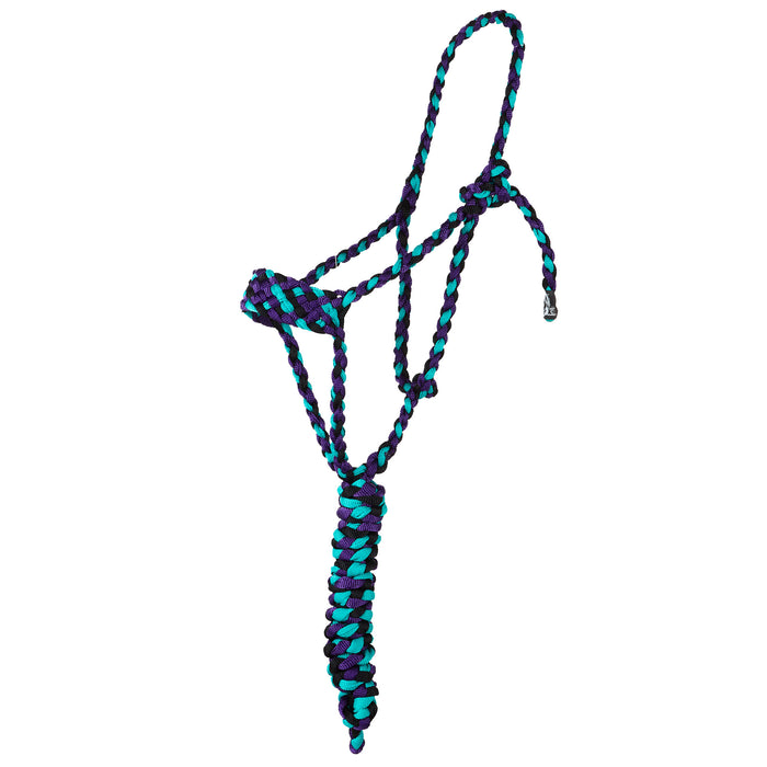 Tri Color Halter with 8ft Attached Lead